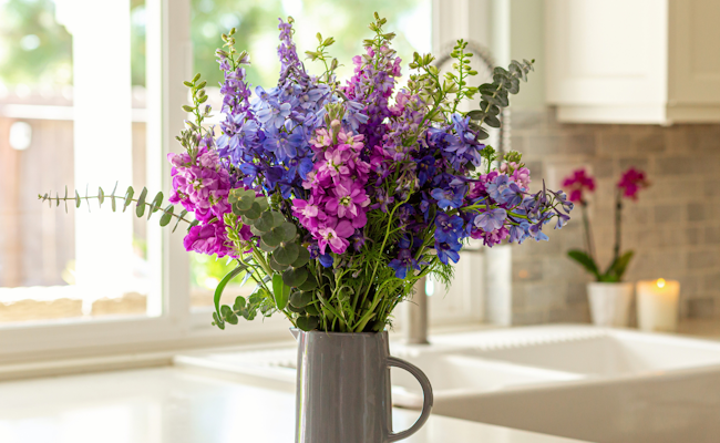 Vibrant floral arrangement featuring purple and pink stock flowers in a pitcher vase.