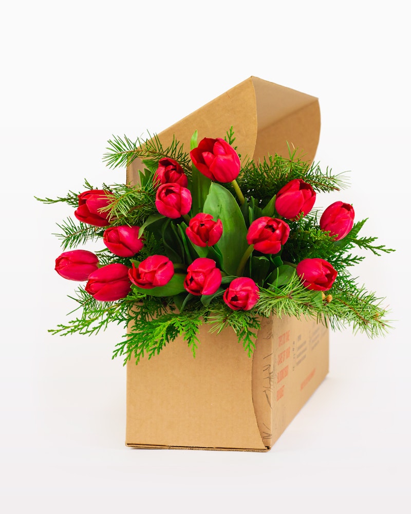 Vibrant red tulips with fresh greenery arranged in a brown cardboard box against a white background, symbolizing a unique flower delivery concept.