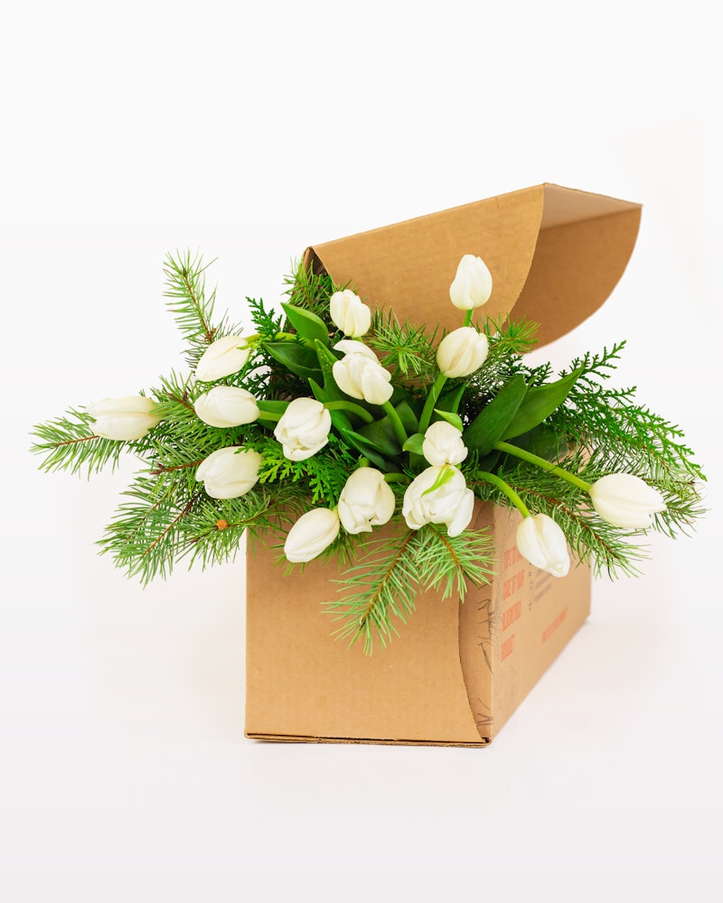 A bunch of fresh white tulips with green foliage arranged neatly in a brown cardboard box against a white background, symbolizing a flower delivery or gift.