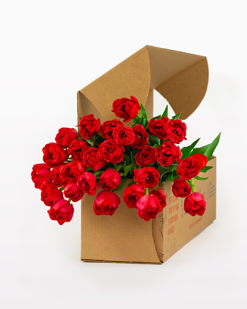 Bouquet of red tulips creatively arranged in a brown cardboard box with a visible recycled symbol, showcased against a white background for a clean look.