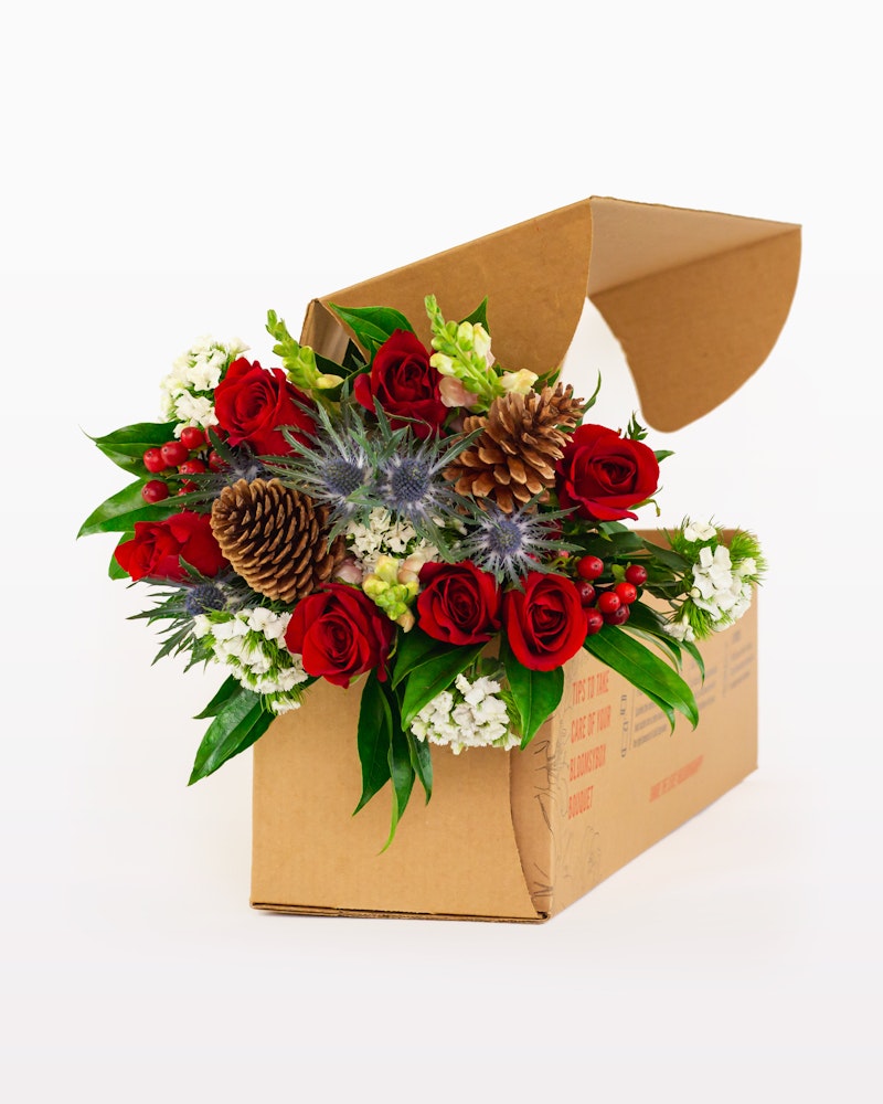 Beautiful bouquet of red roses, white flowers, pine cones, and green foliage emerging from a brown cardboard box against a seamless white background.