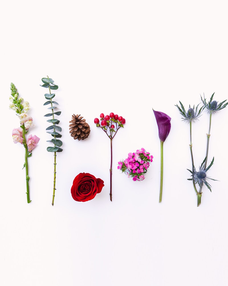 A variety of botanical elements including a pink snapdragon, eucalyptus leaves, a pine cone, red berries, a rose, pink blossoms, a purple calla lily, and thistles, neatly arranged in a row on a white background.