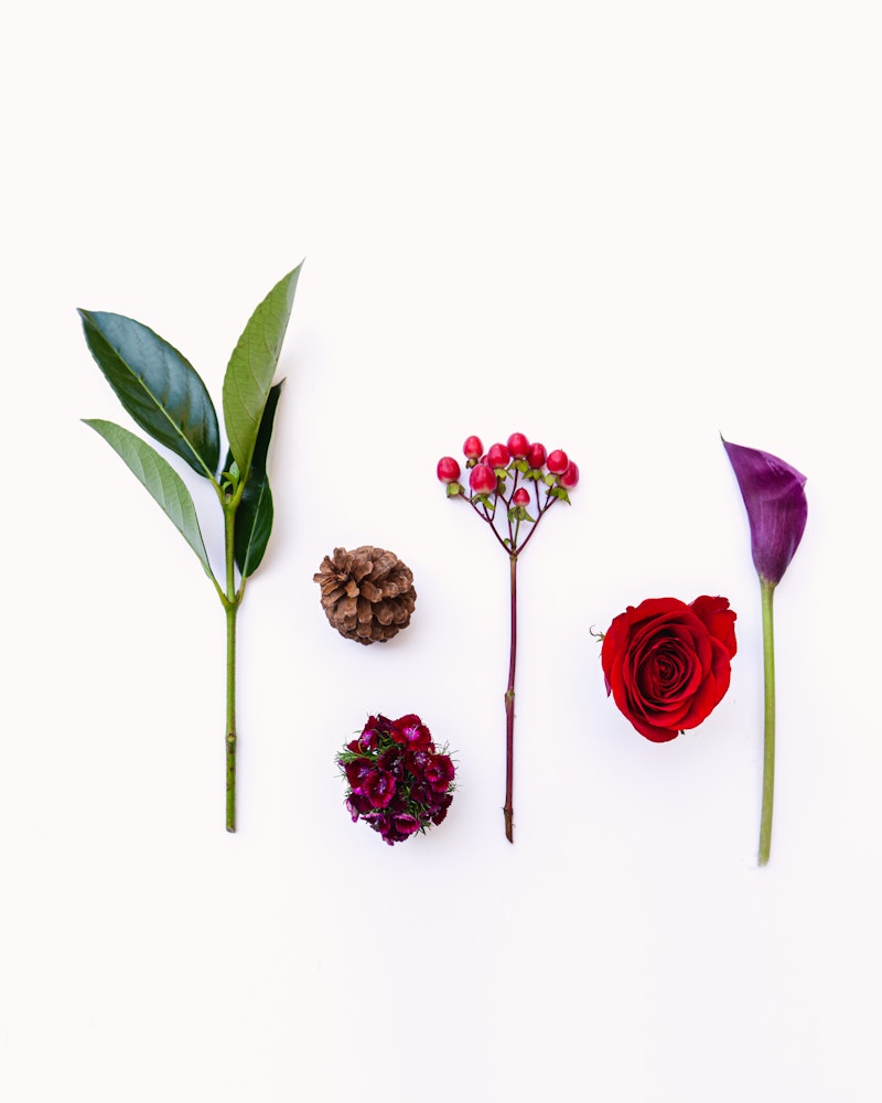 Arrangement of natural items on a white background, featuring green leaves, a pine cone, red berries, a bright red rose, and a purple calla lily.