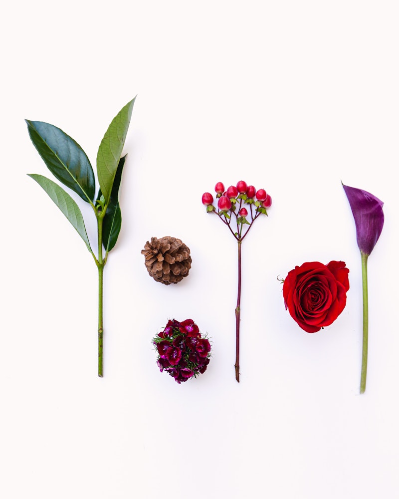 Assorted natural items neatly placed against a white background, including green leaves, a pinecone, red berries, a crimson dianthus, a red rose, and a purple calla lily.