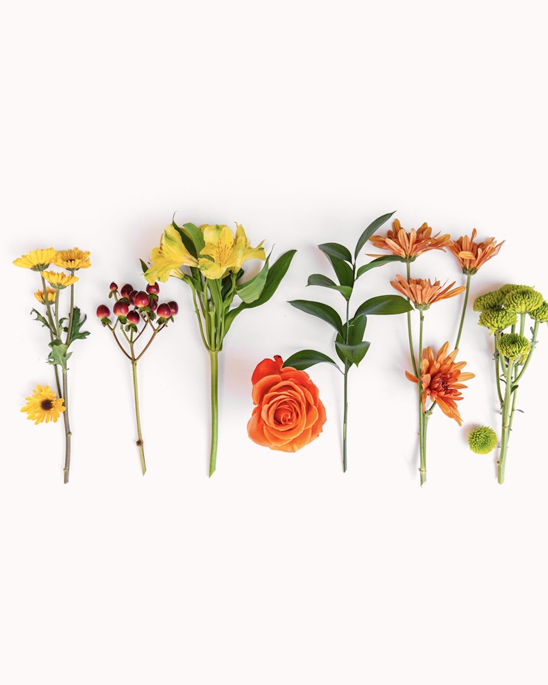 Assorted fresh flowers with vibrant petals and lush green leaves arranged in a neat row on a crisp white background, showcasing a variety of blooms and colors.