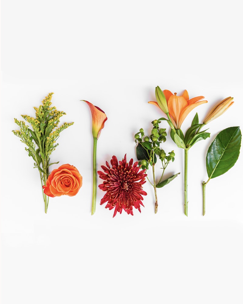A vibrant collection of assorted flowers including goldenrod, calla lily, rose, chrysanthemum, lilies, and a leaf, all arranged neatly in a row on a white background.
