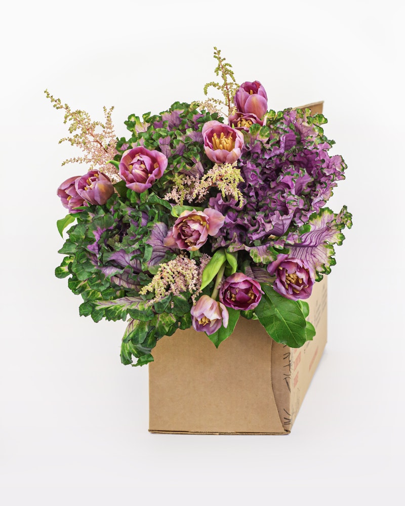A vibrant bouquet of purple tulips and assorted purple and green foliage elegantly arranged in a brown cardboard vase against a white background.