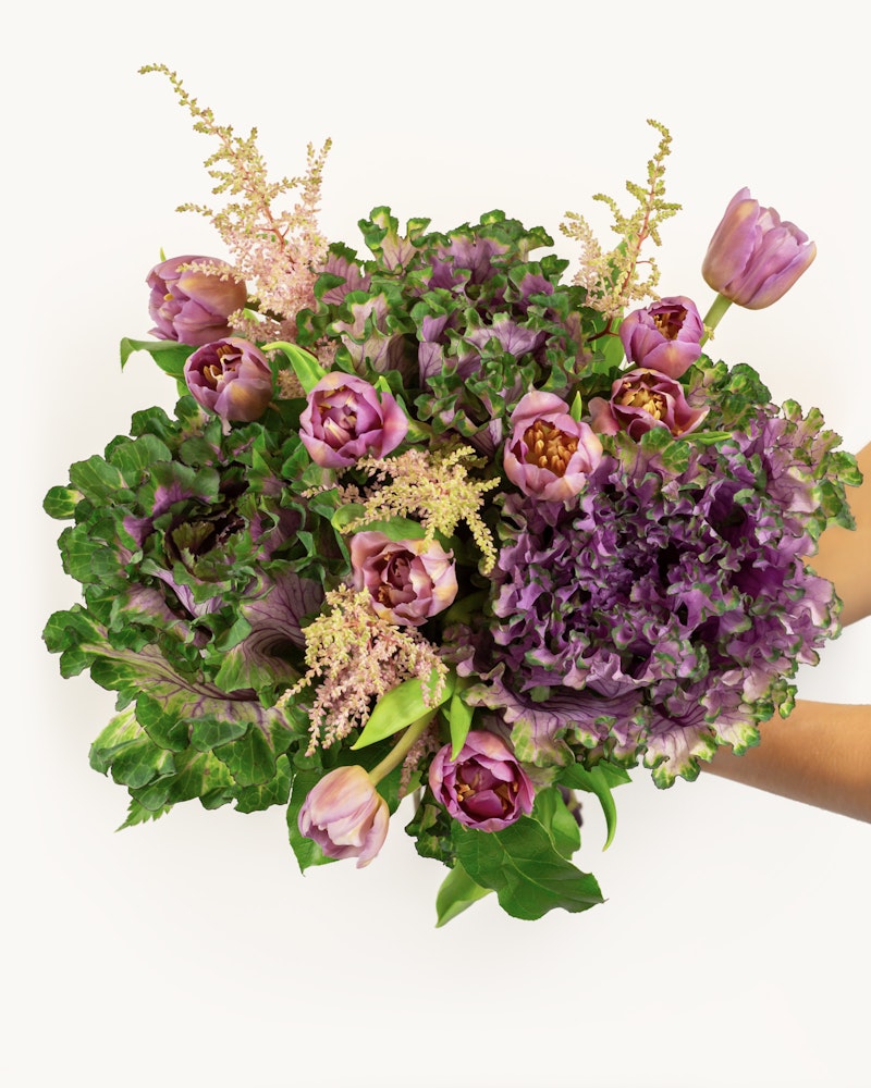 A person holding a lavish bouquet featuring purple tulips, surrounded by green leaves and delicate pink accents, against a clean white background.