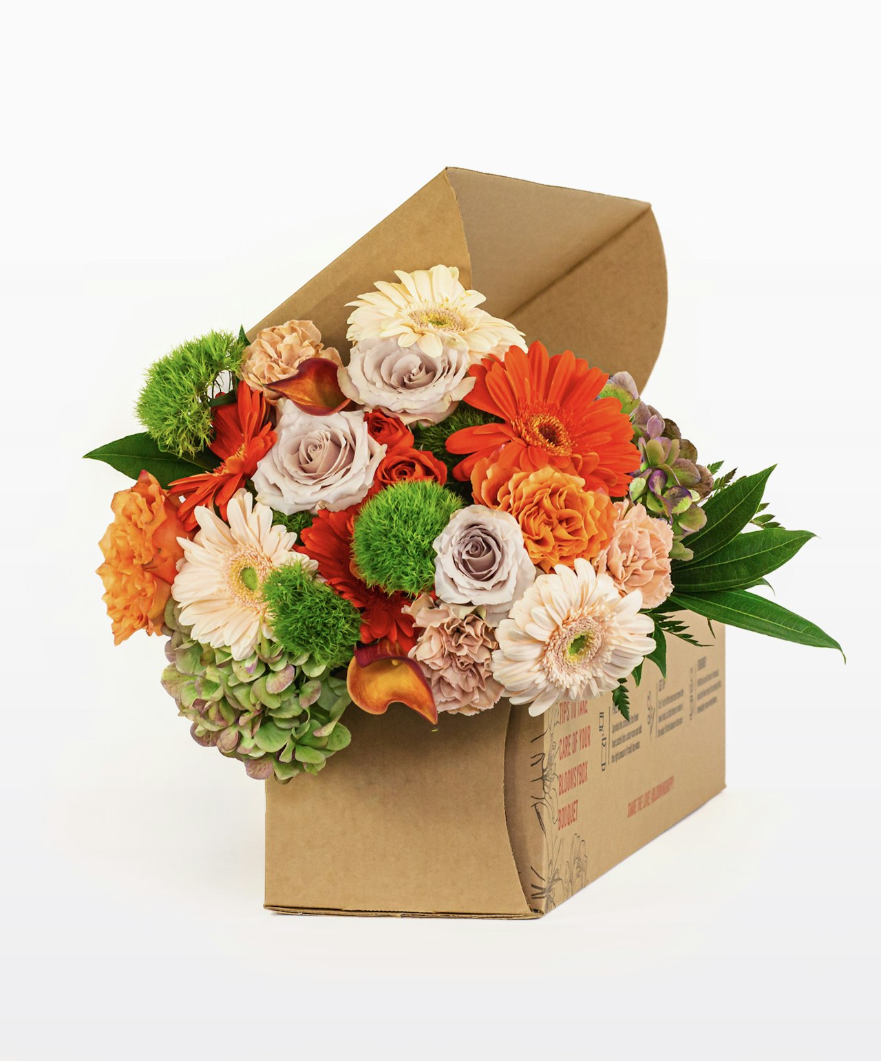 Vibrant floral arrangement featuring orange and peach blooms in a stylish package.