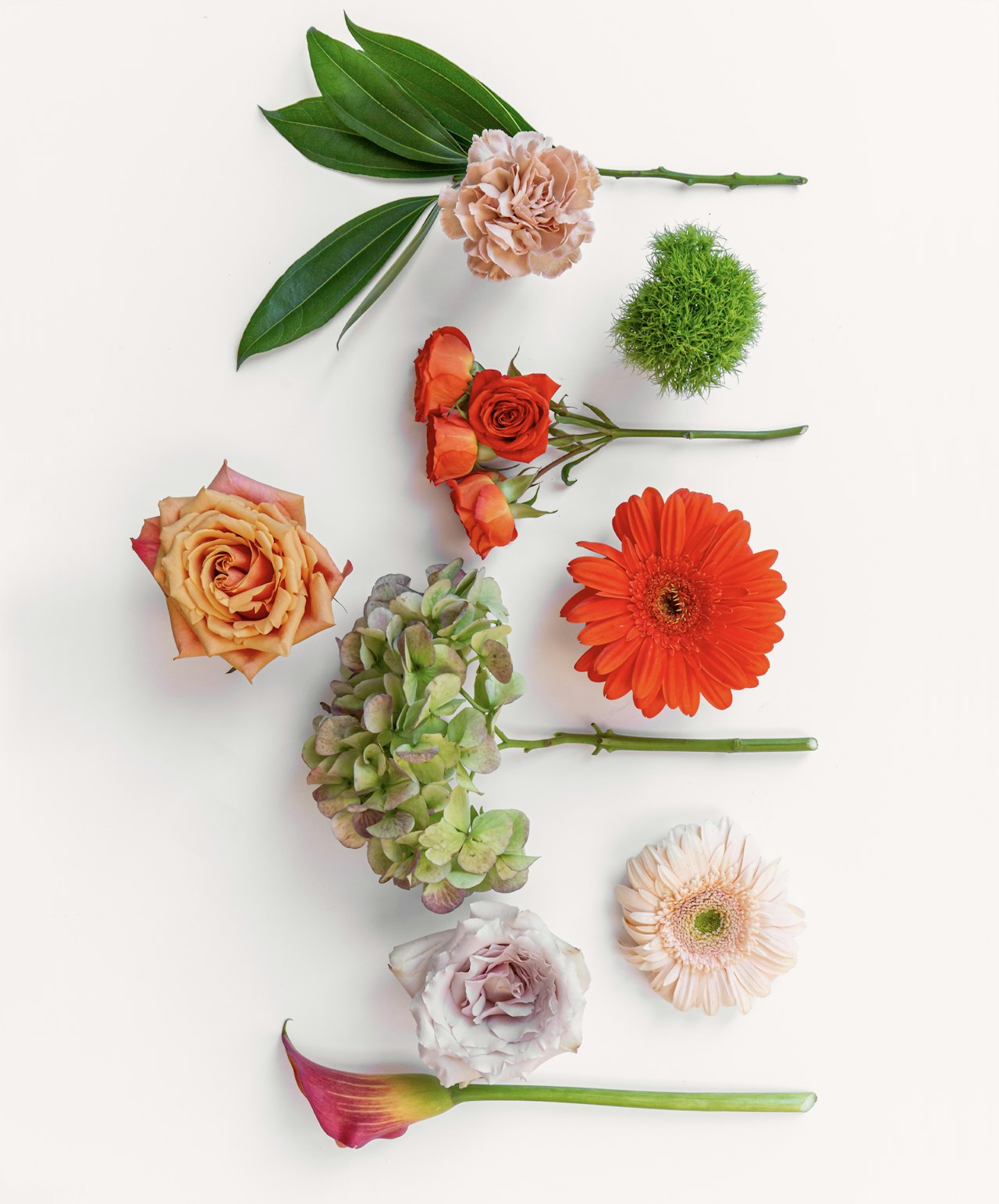 A vibrant assortment of flowers including roses, gerberas, and greenery laid out artistically.