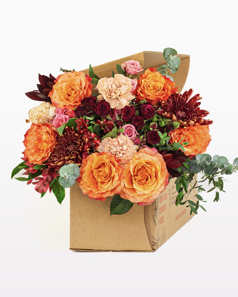 Vibrant bouquet of orange and peach roses with deep red chrysanthemums and eucalyptus leaves, presented in a simple brown cardboard box against a white background.