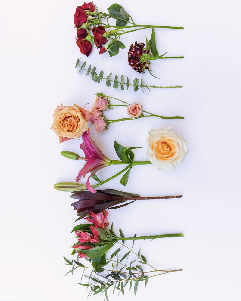 Assorted fresh flowers including red roses, peach roses, pink lilies, and green foliage arranged neatly in a vertical row on a white background.