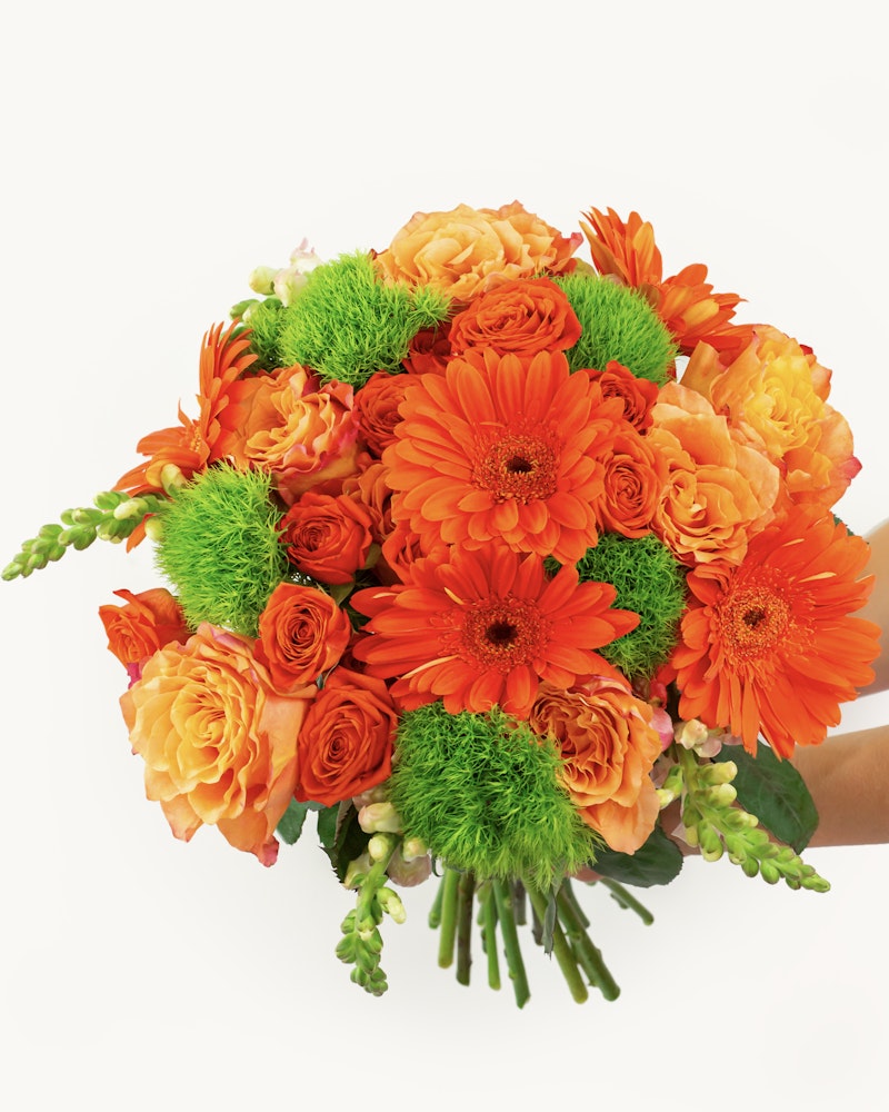 Vibrant bouquet of orange gerberas, roses, and green accents being held against a white background, focusing on the lush colors and fresh flower arrangement.