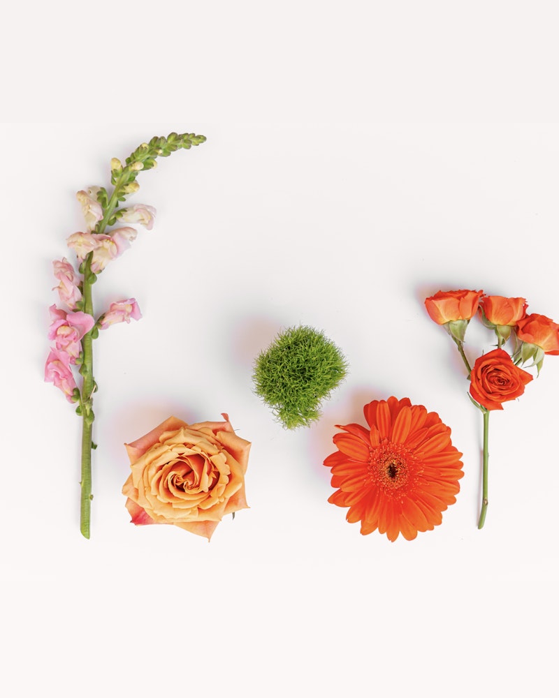 A vibrant floral arrangement on a white background featuring pink snapdragons, a green moss ball, orange roses, and a bright red gerbera daisy.