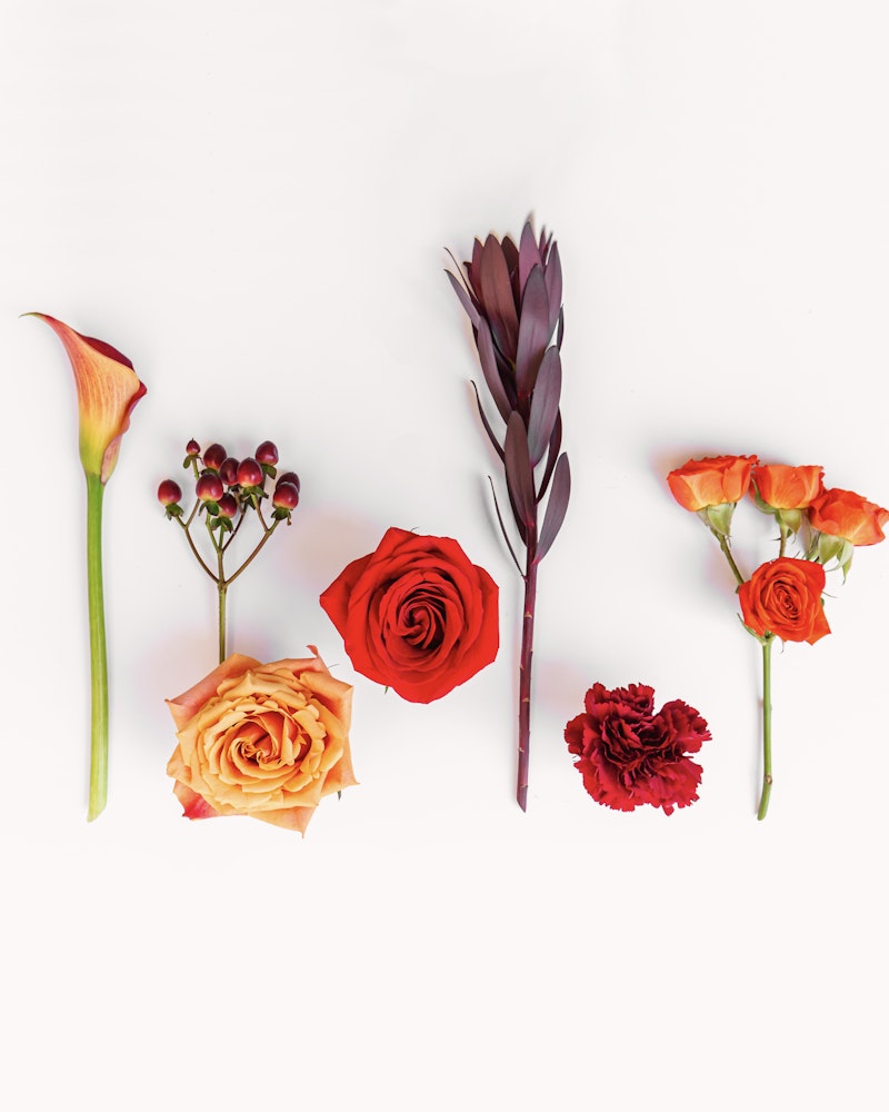 Assorted fresh flowers neatly arranged on a white background, including a calla lily, purple berries, red roses, a feather-like leaf, and orange spray roses.