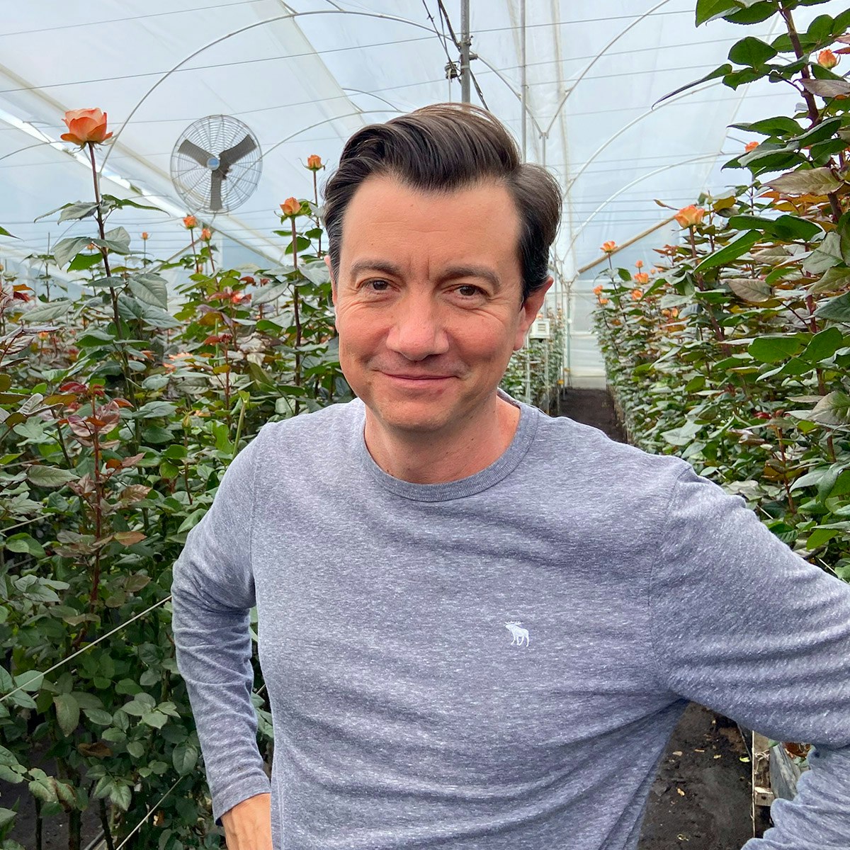 Smiling man with dark hair wearing a gray long-sleeved shirt in a greenhouse with rows of rose bushes and a large fan in the background.