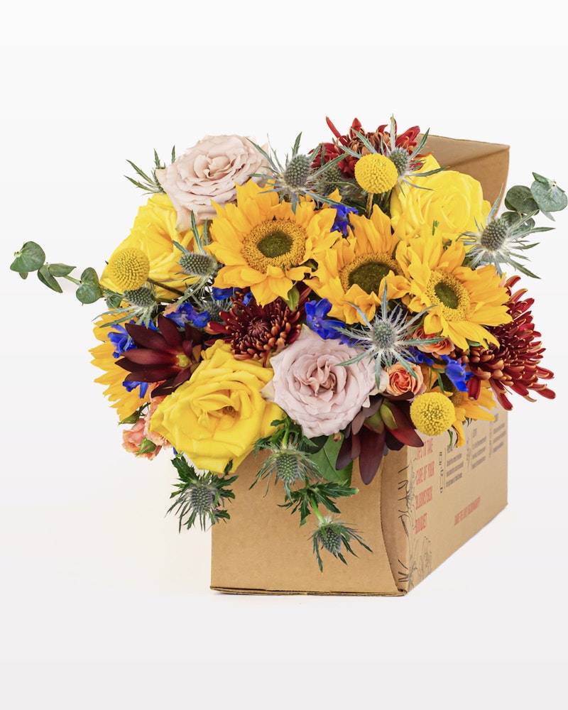 Vibrant bouquet of flowers with sunflowers, yellow roses, and purple blooms emerging from a cardboard delivery box against a white background, showcasing a fresh floral arrangement.