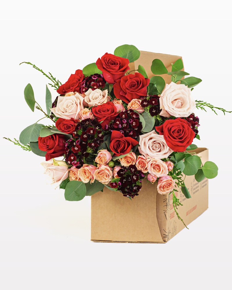 A vibrant bouquet of red and pink roses with hints of purple flowers and greenery, neatly packed in a stylish brown cardboard box against a white background.