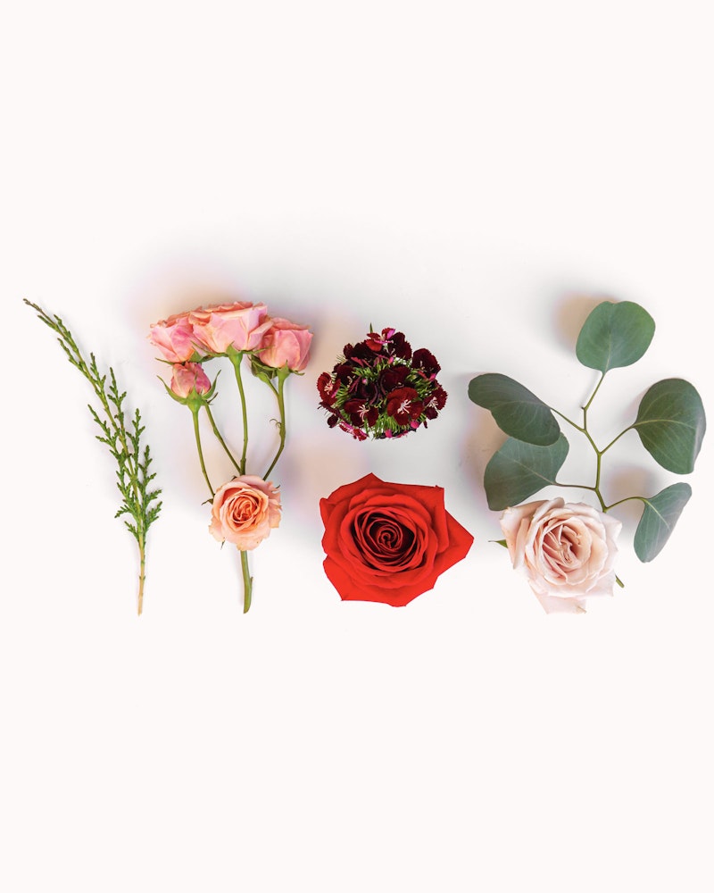 Flat lay of assorted flowers and leaves arranged neatly on a white background, including pink roses, a red rose, burgundy dianthus, and eucalyptus leaves.