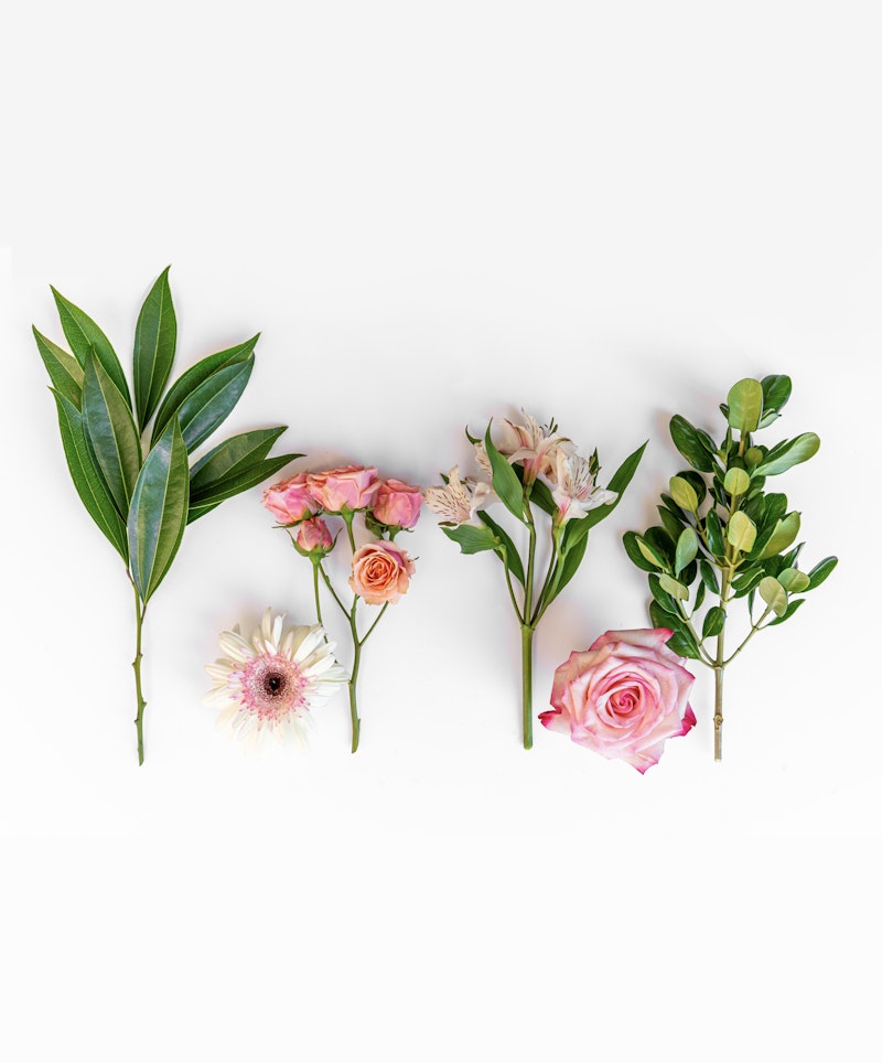 Assortment of fresh botanicals including green leaves and pink flowers such as roses and a gerbera, neatly organized on a plain white background.