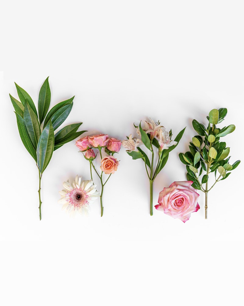 Assortment of fresh botanicals including green leaves and pink flowers such as roses and a gerbera, neatly organized on a plain white background.