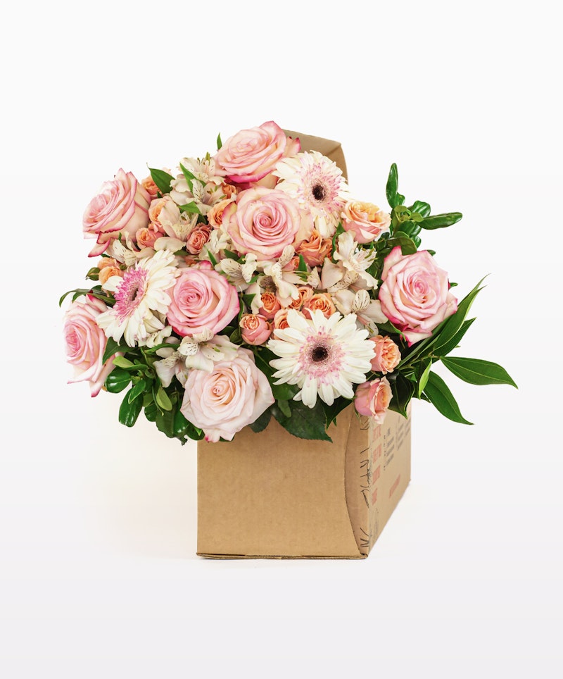 Assorted bouquet of pink roses and daisies with lush greenery in a cardboard box against a white background, showcasing a fresh and vibrant floral arrangement.