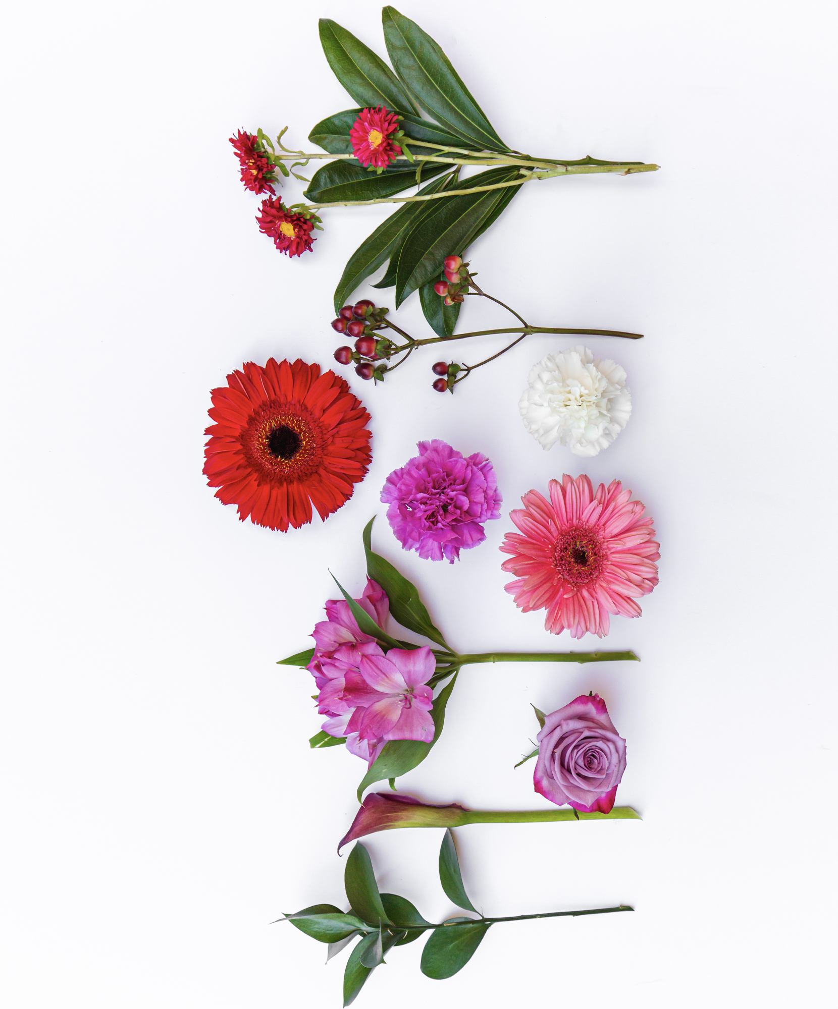 Fuchsia Frenzy | BloomsyBox