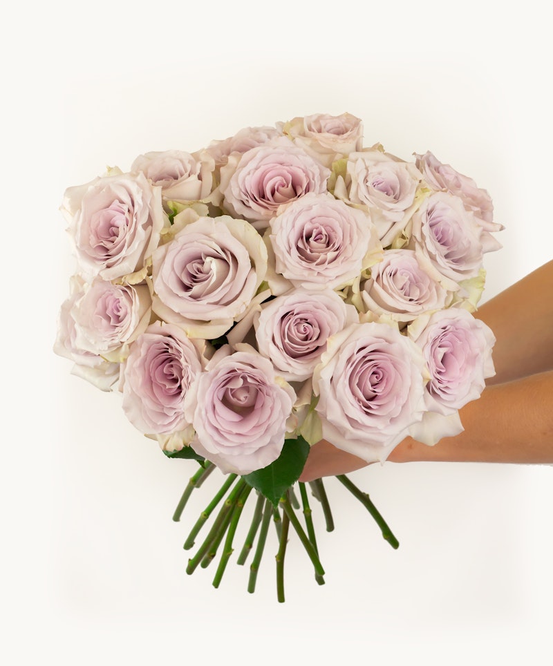 A large bouquet of delicate pale pink roses with soft petals displayed against a white background, held by a person's hands, showcasing a fresh, floral arrangement.