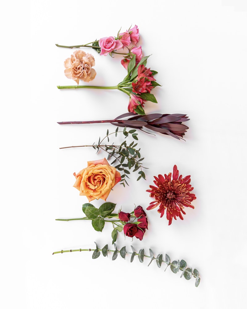 A vibrant assortment of flowers, including roses in pink, orange and red hues, complemented by red dahlias and eucalyptus branches, artfully arranged on a white background.