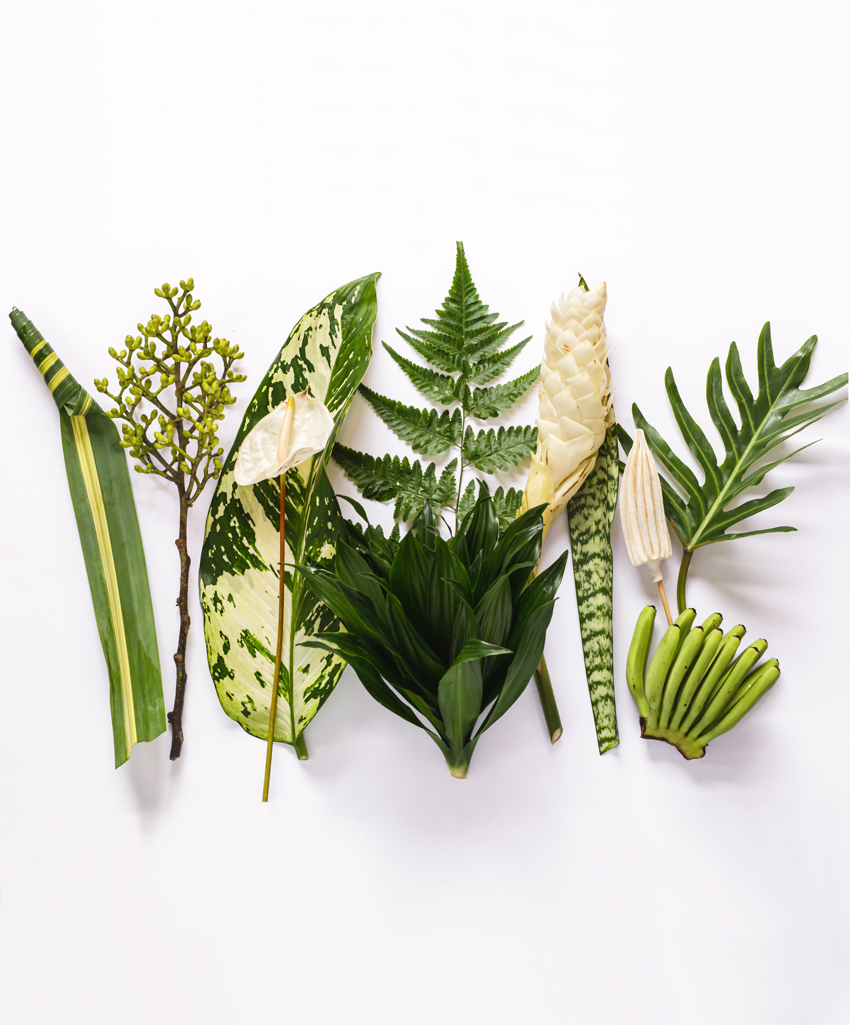 Paradise Harmony Bouquet Fresh Seasonal Bouquet |