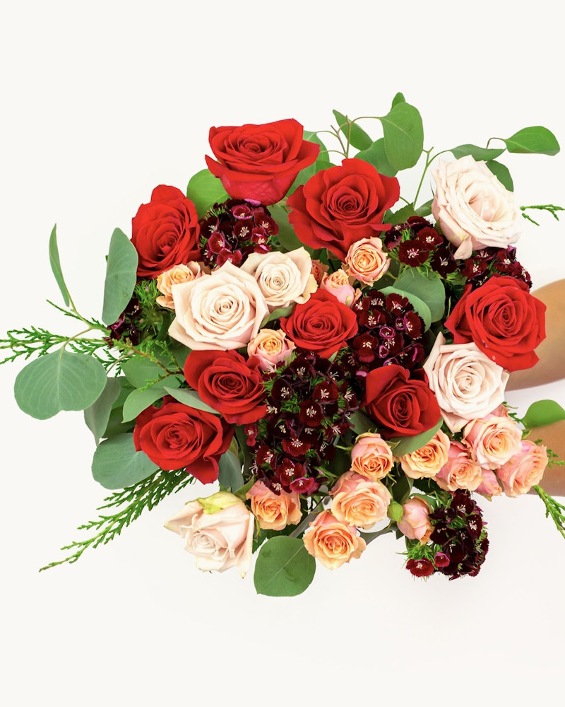 Vibrant bouquet of roses in various shades of red, pink, and cream, held by a person's hands against a white background, with lush green leaves and foliage.