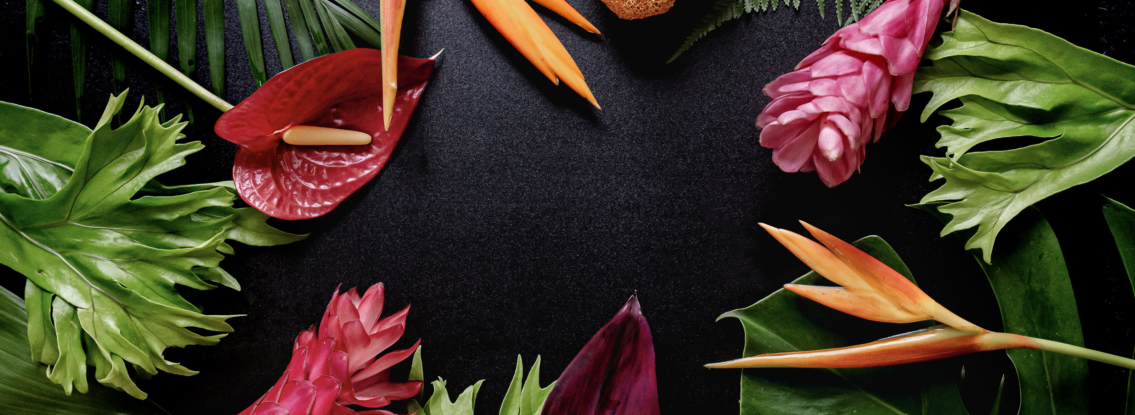 Vibrant tropical arrangement featuring exotic flowers and lush green leaves on a dark background.