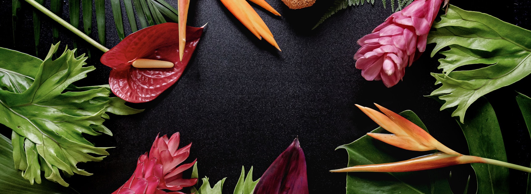 Vibrant tropical arrangement featuring exotic flowers and lush green leaves on a dark background.