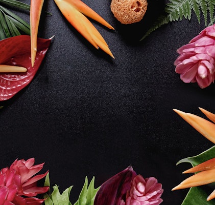 Vibrant tropical flowers, including pink ginger and bird of paradise, arranged artistically around a loofah and fern leaves on a dark background.