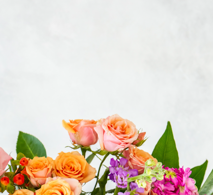 Bouquet of vibrant flowers with rose and orange roses, purple blossoms, and red berries against a soft textured white background with ample copy space.