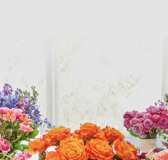 Vibrant floral arrangements with orange roses, pink blooms, and lush greenery by a sunny window.