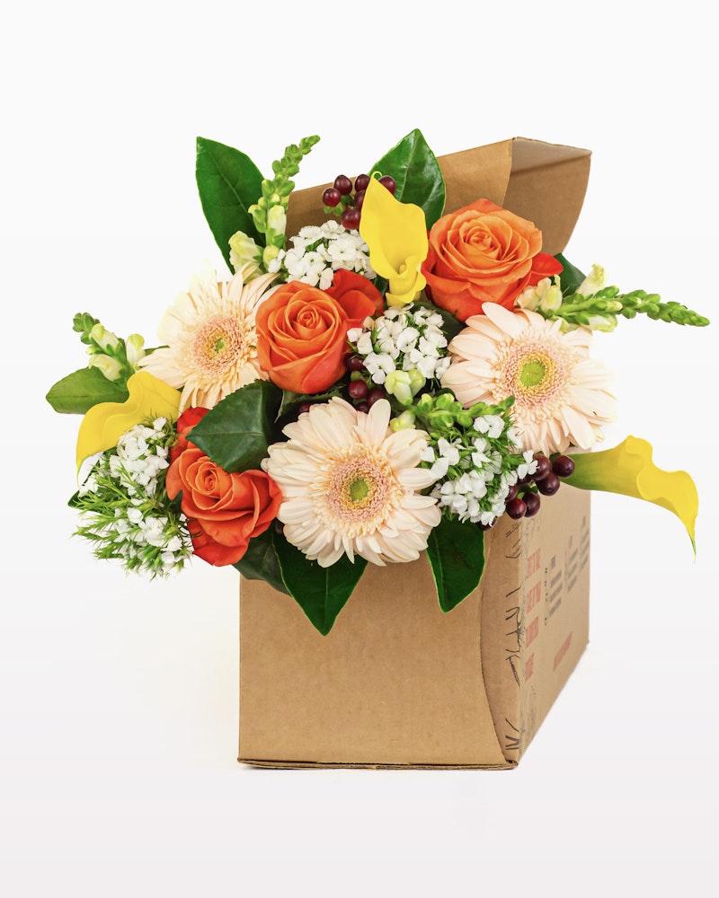 Vibrant floral arrangement with orange roses, pink gerbera daisies, yellow calla lilies, and greenery in a brown cardboard box against a white background.
