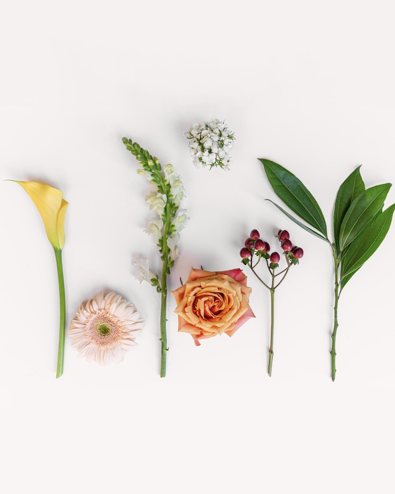 A flat lay of assorted flowers including a yellow calla lily, pink gerbera, orange rose, and others, neatly arranged on a clean white background.