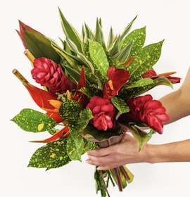 Vibrant tropical bouquet featuring red ginger flowers and lush green leaves, perfect for gifts.