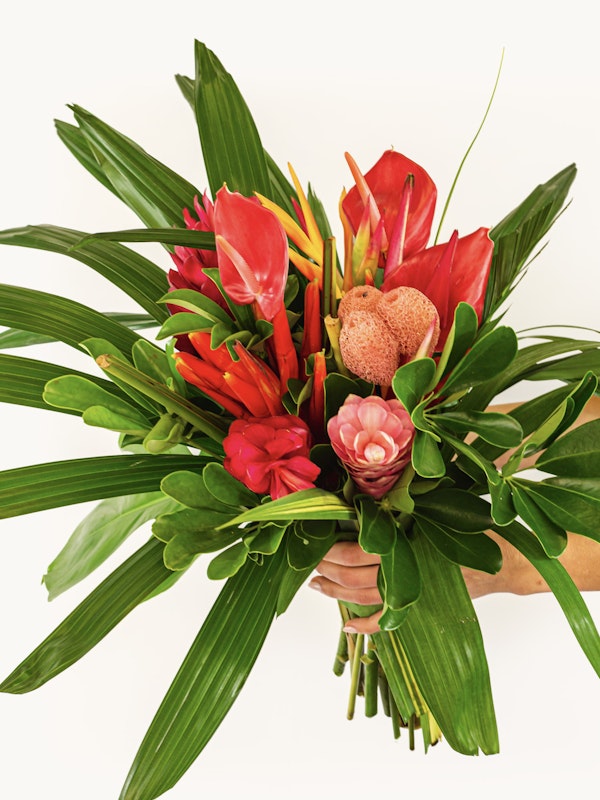 Lush tropical bouquet with bright red flowers, pink blooms, and green foliage held in hand against a white background, conveying a fresh and vibrant aesthetic.