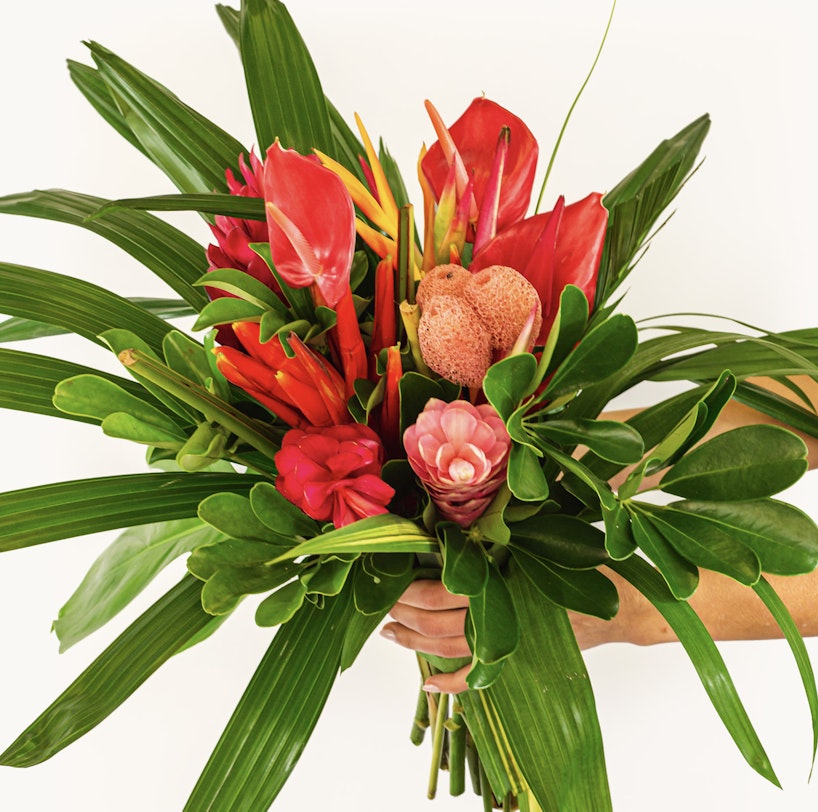 Lush tropical bouquet with bright red flowers, pink blooms, and green foliage held in hand against a white background, conveying a fresh and vibrant aesthetic.