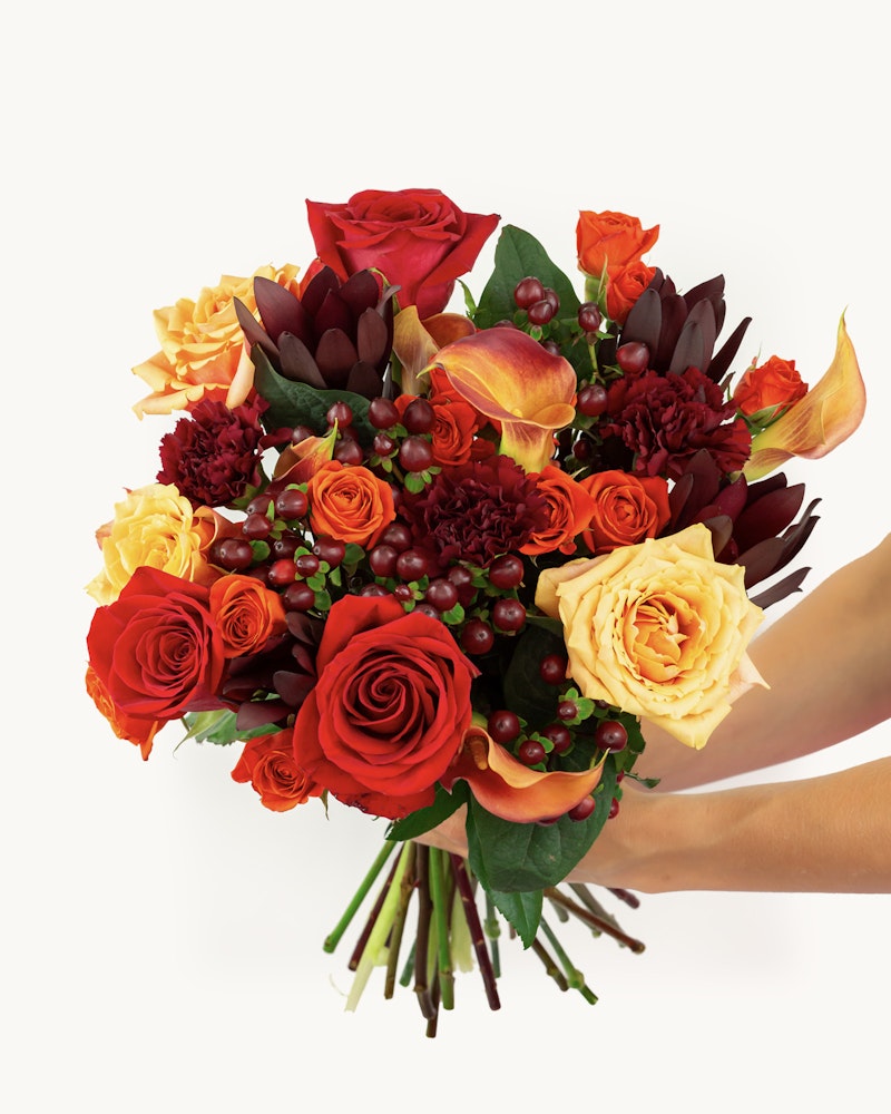 A person holding a vibrant bouquet of roses and calla lilies in various shades of red, orange, and yellow, complemented by rich green foliage and red berries, against a white background.