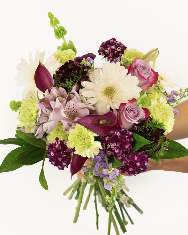 Person holding a vibrant bouquet with a mix of flowers including purple orchids, white daisies, and pink roses against a white background.