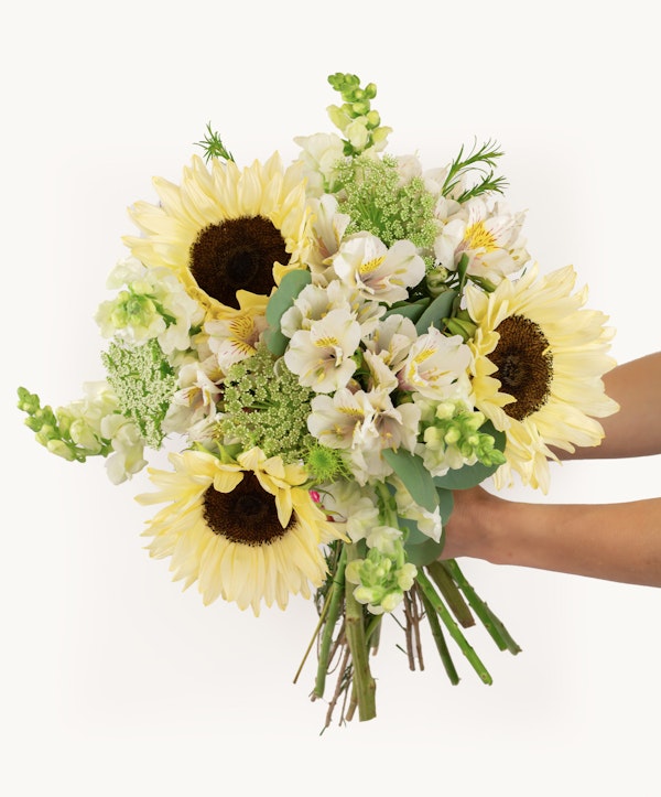 A person holding a vibrant bouquet of sunflowers, white alstroemeria, green snapdragons, and lush foliage against a white background.
