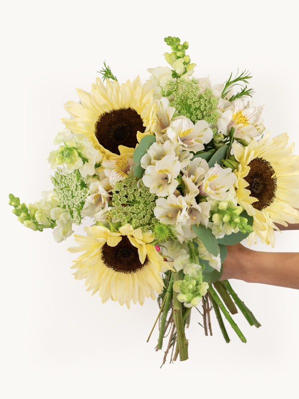A person holding a vibrant bouquet of sunflowers, white alstroemeria, green snapdragons, and lush foliage against a white background.