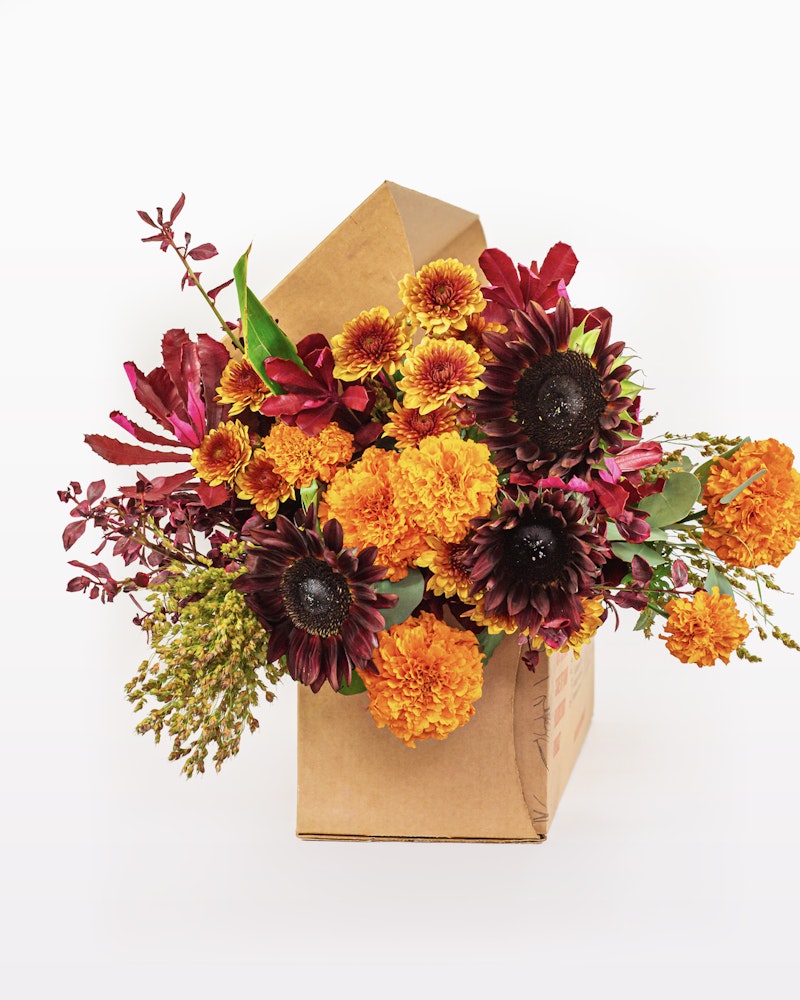 Vibrant bouquet of flowers with deep reds and bright oranges, including marigolds and darker blooms, packaged in a unique brown paper bag on a white background.