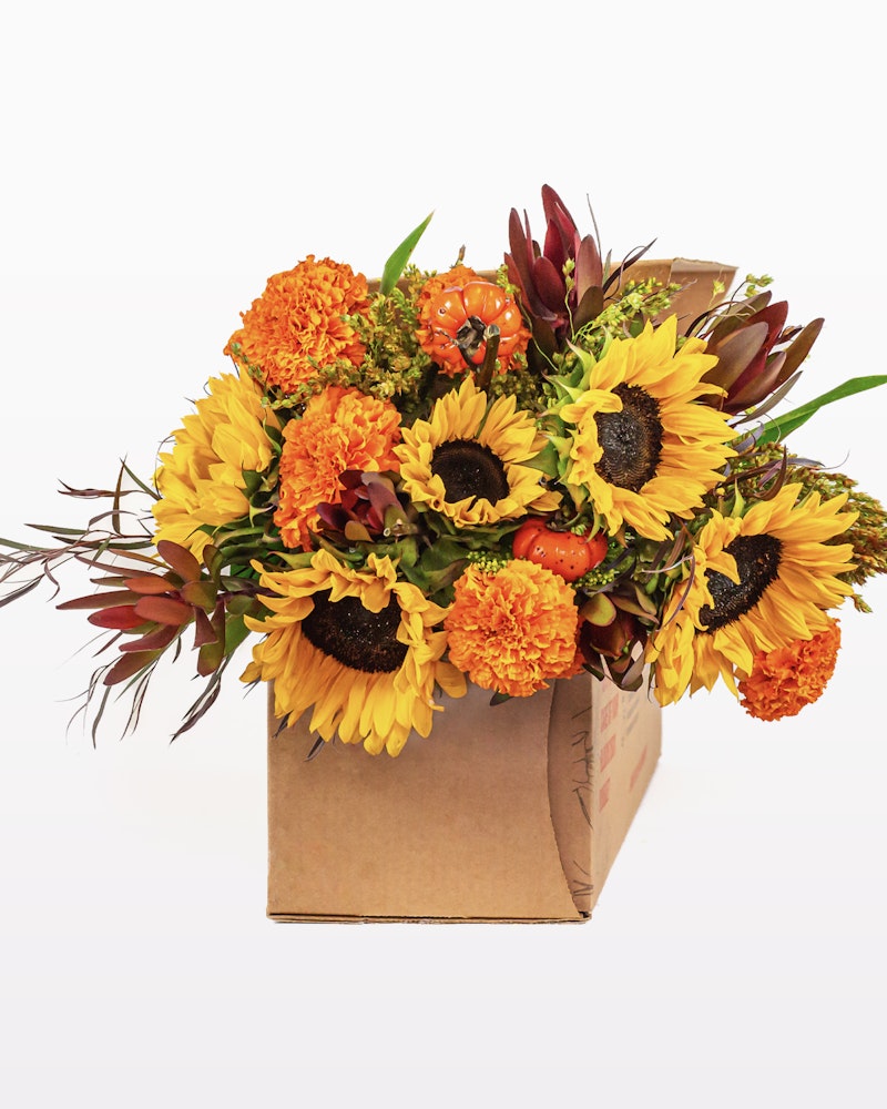 Bright autumn floral arrangement with sunflowers, orange marigolds, and crimson leaves in a kraft paper bag, isolated on a white background, suitable for seasonal decoration.