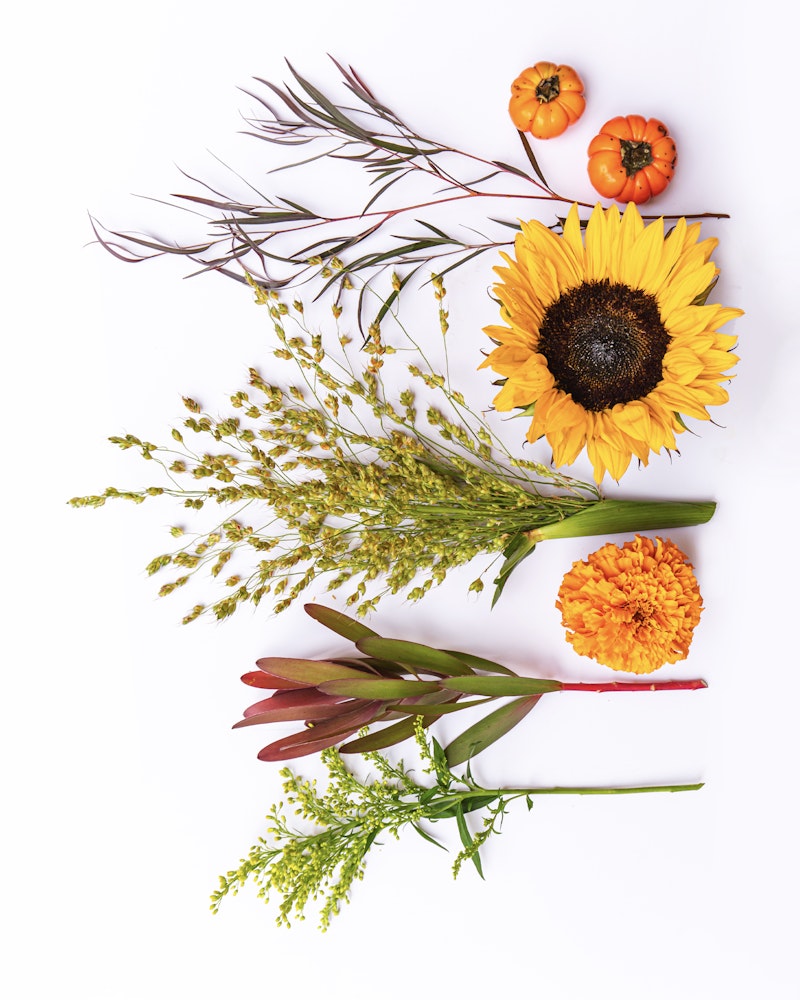 A vivid arrangement of flowers on a white background, featuring a bright sunflower, orange marigolds, green foliage, wispy grass, and miniature pumpkins.