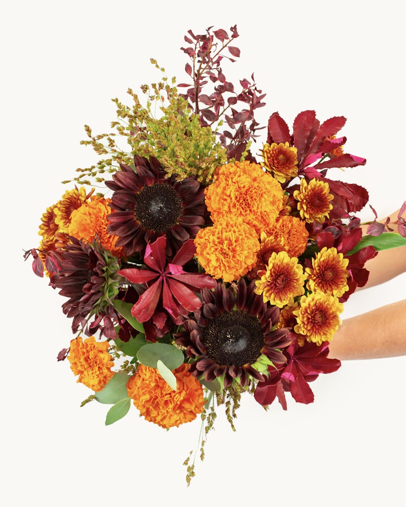 Vivid autumn bouquet featuring sunflowers, marigolds, and red foliage held by a person against a white background, showcasing a warm seasonal color palette.