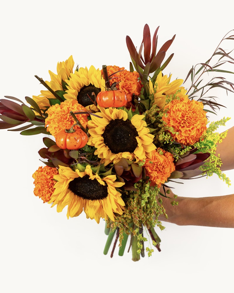 Vibrant autumn bouquet with sunflowers, orange marigolds, mini pumpkins, and red foliage against a white background, embodying the cozy essence of fall.